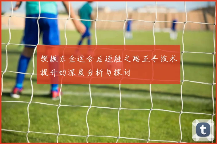 樊振东全运会后连胜之路正手技术提升的深度分析与探讨